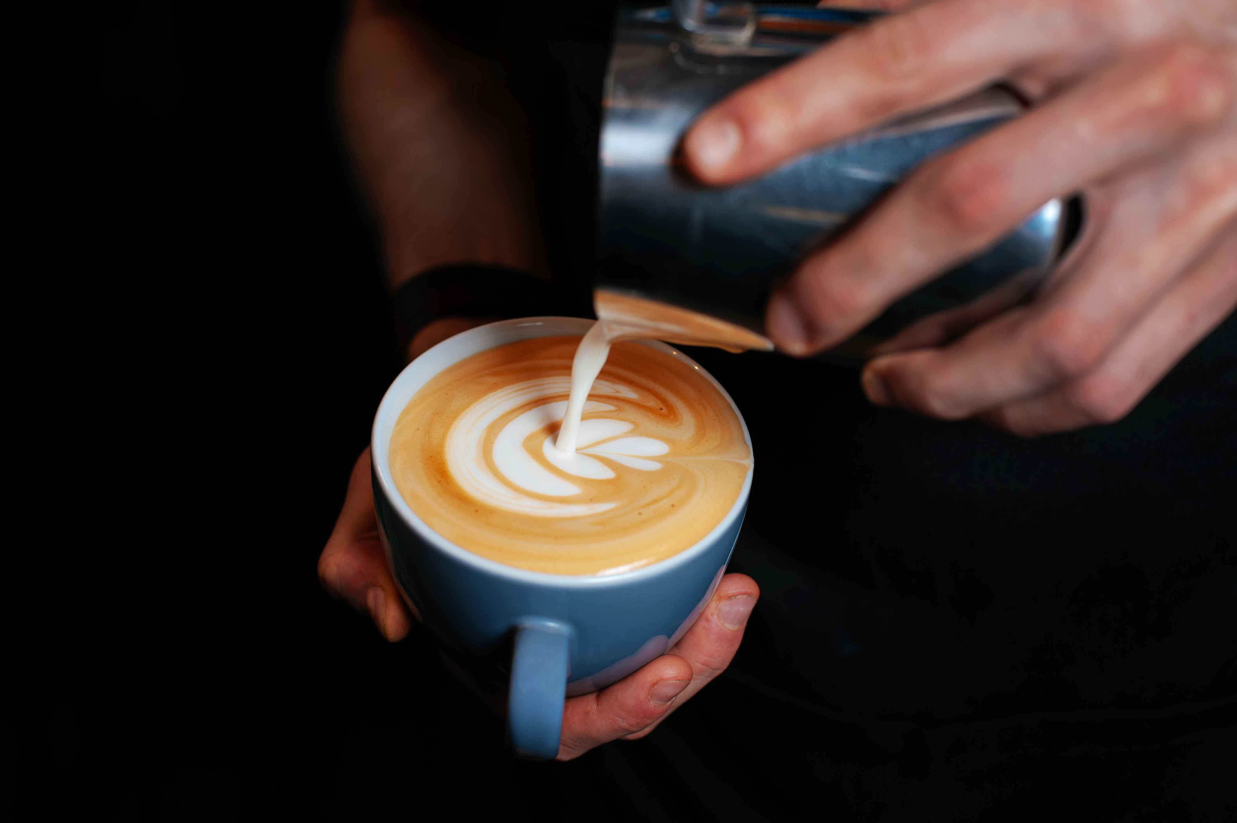 Latte Art Introduction | Edible Phoenix