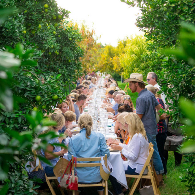 Outstanding in the Field Dinner at Steadfast Farm Edible Phoenix