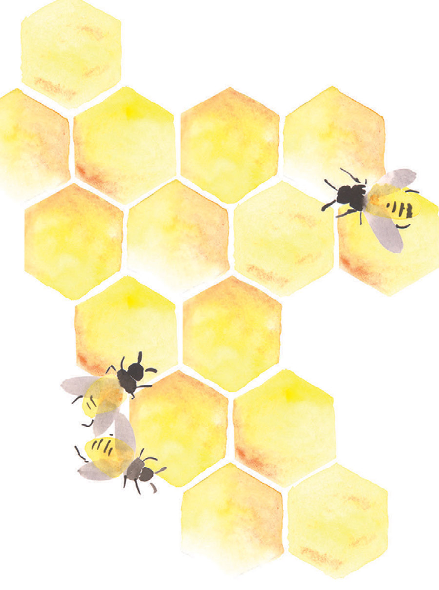 Building the Buzz for Honeybees