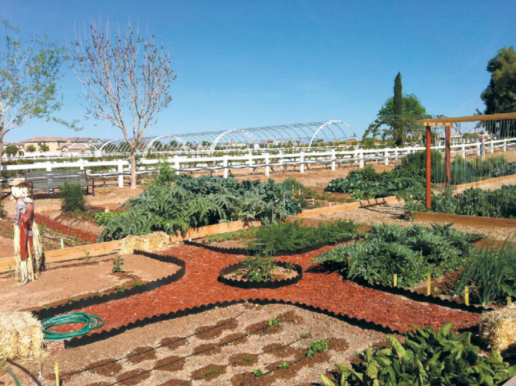 Community Gardens at Agritopia