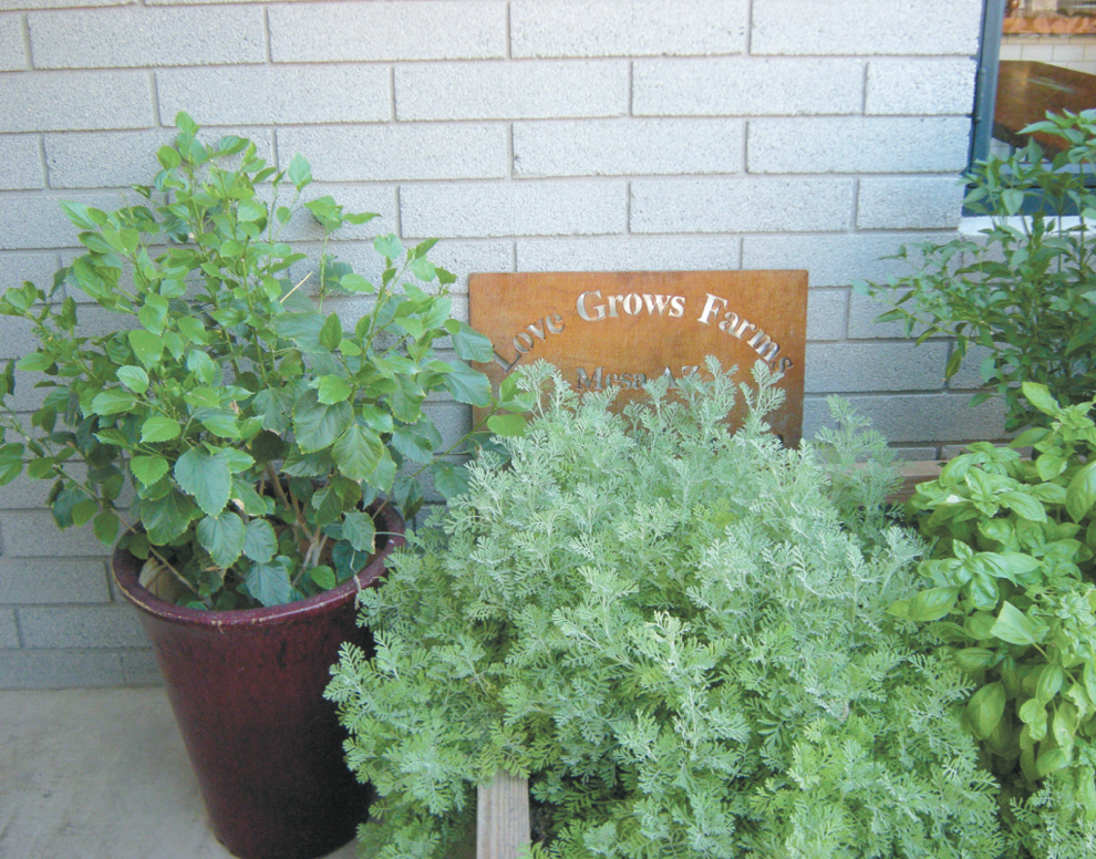 Herb garden at The Parlor