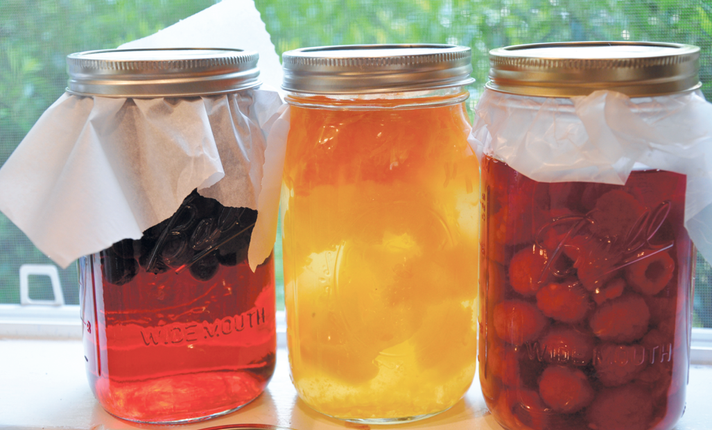 fruity vinegar infusions