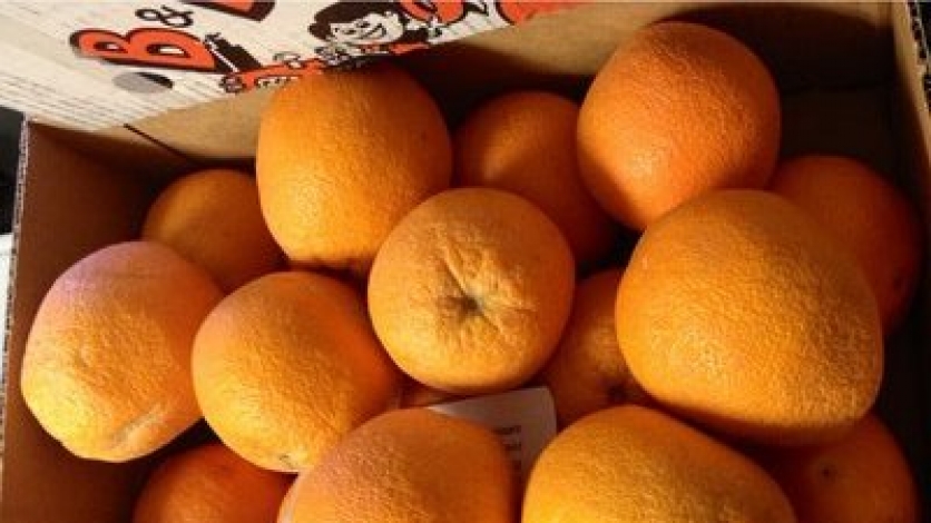 B&B Citrus Farms | Edible Phoenix