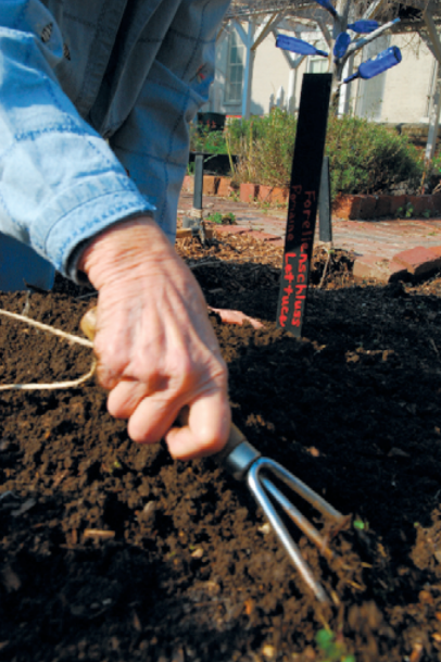 Tilling the soil
