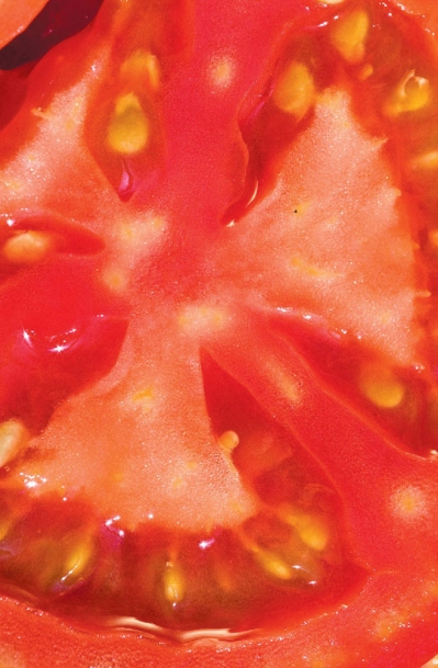 Close-up of tomato flesh