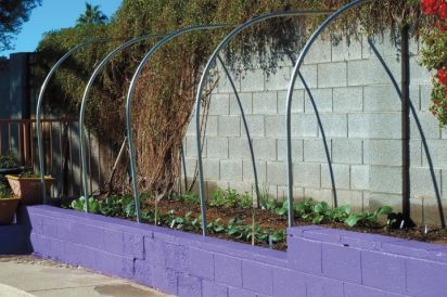 chicken wire enclosure for vegetable garden