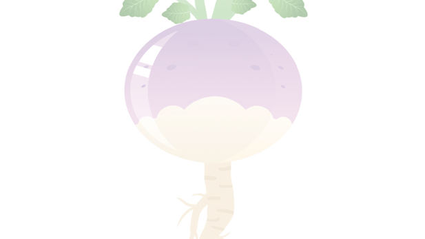 Turnip illustration