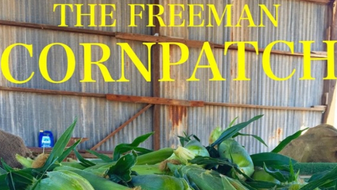 freeman corn patch