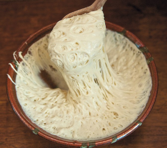Sourdough Starter fermentation