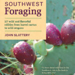 Southwest Foraging