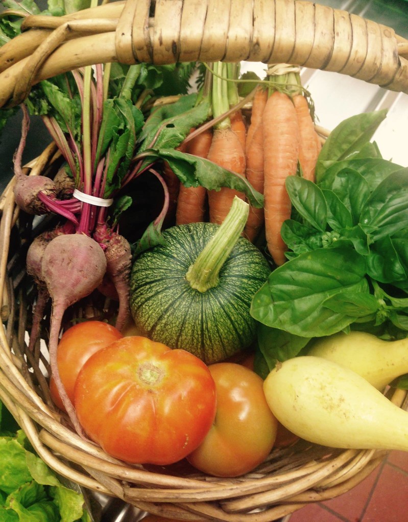 Ourharvest.jpg