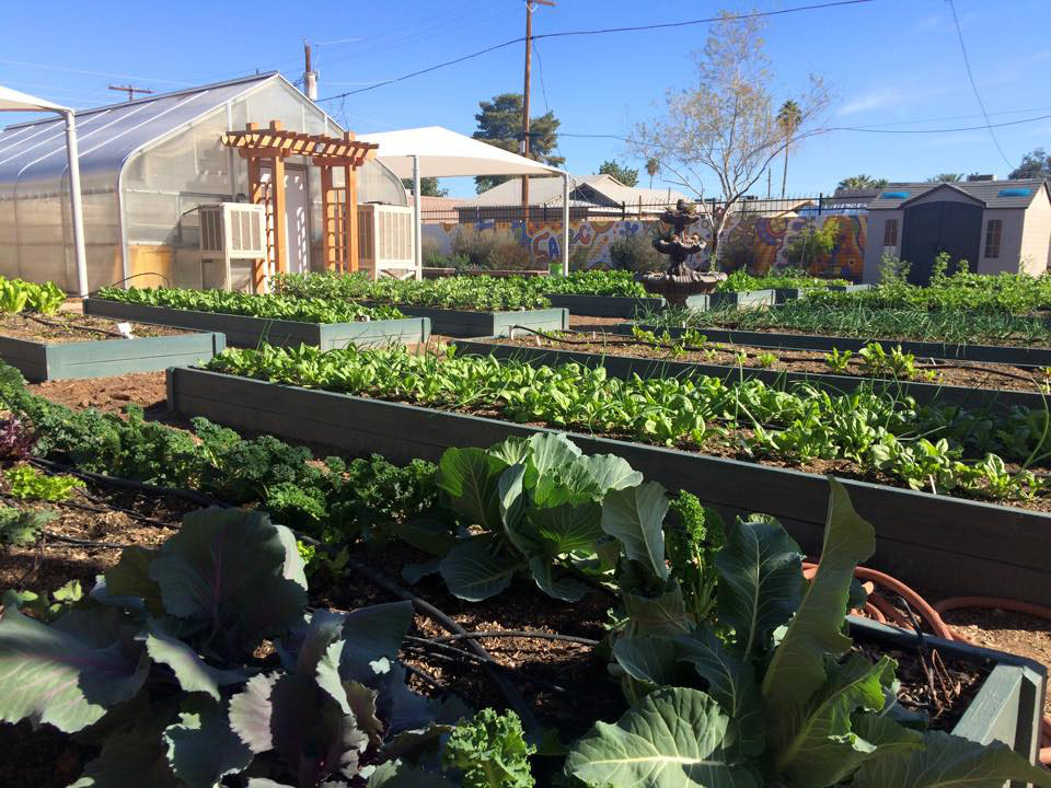 SARRC Gardens