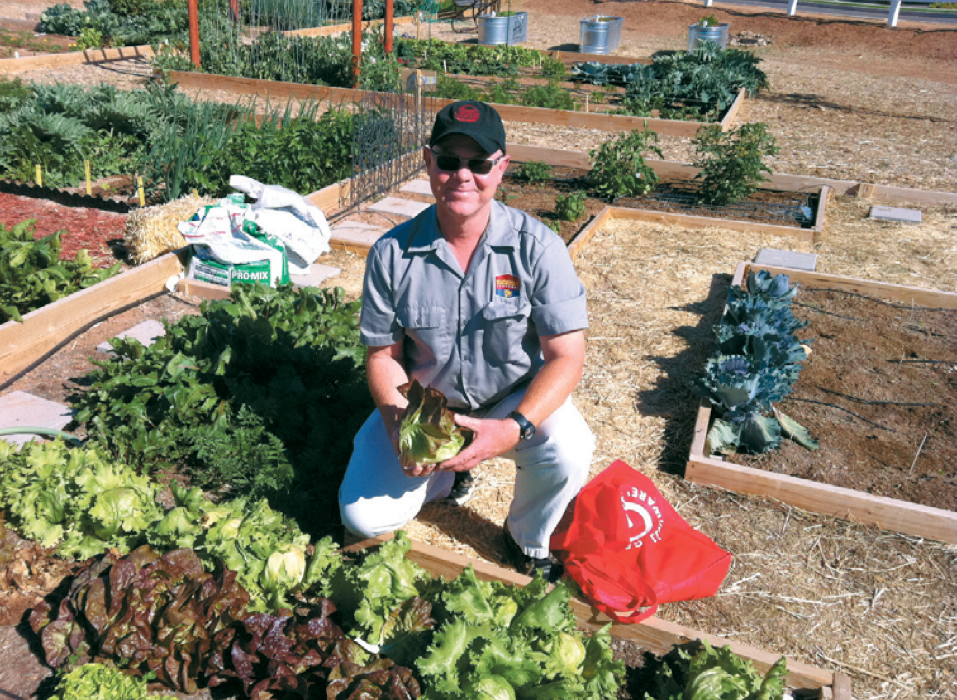 community-garden 2.png