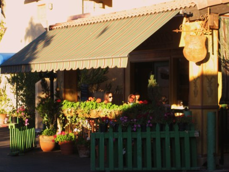 vincent.png