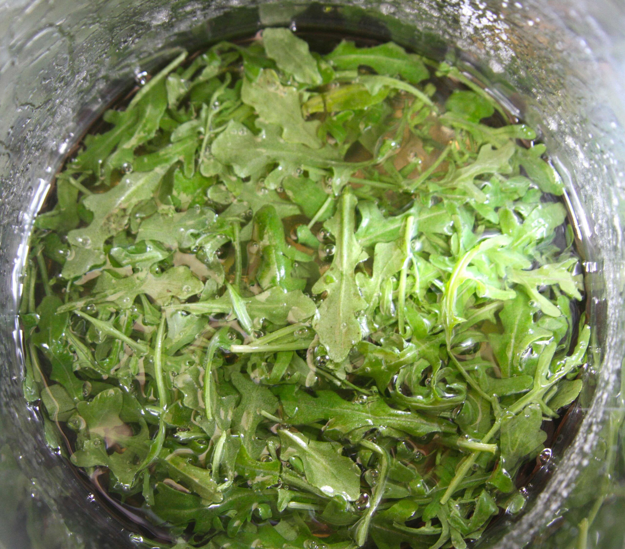 Herbs_Arugula-Pot.jpg