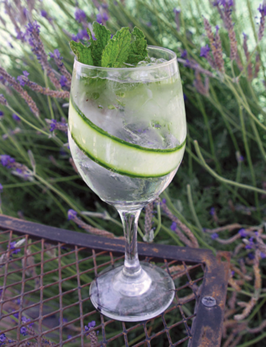 cucumber-1.jpg
