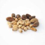 Pine-Nuts-Unshelled-Shelled.jpg