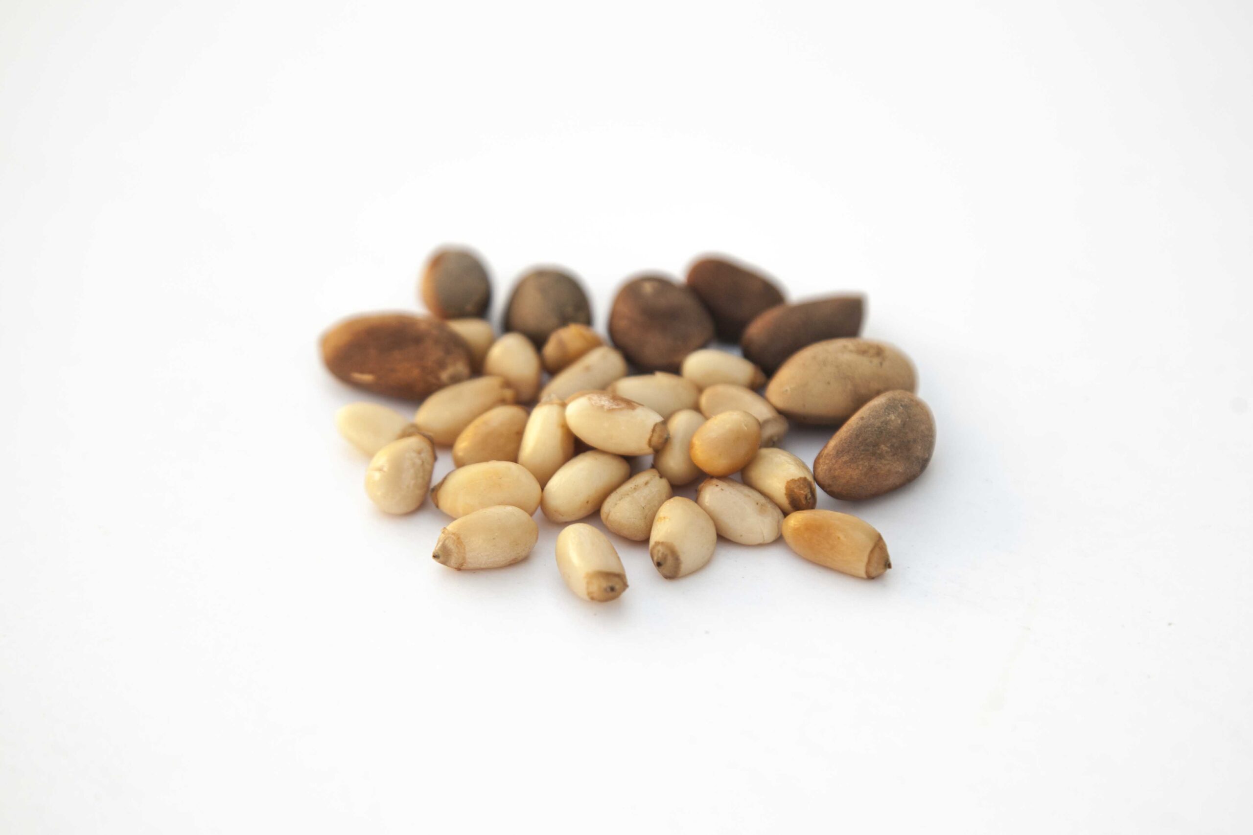 Pine-Nuts-Unshelled-Shelled.jpg